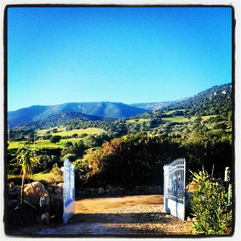 Agriturismo B&B Domo De Resteblas Berchidda Exteriör bild