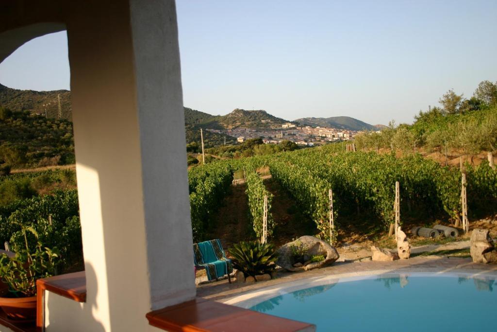 Agriturismo B&B Domo De Resteblas Berchidda Exteriör bild