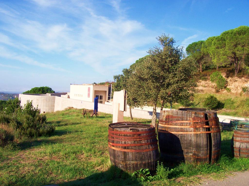 Agriturismo B&B Domo De Resteblas Berchidda Exteriör bild