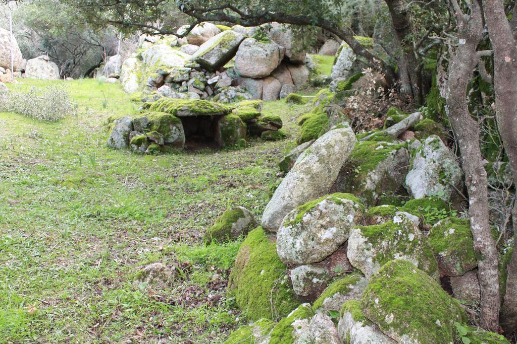 Agriturismo B&B Domo De Resteblas Berchidda Exteriör bild