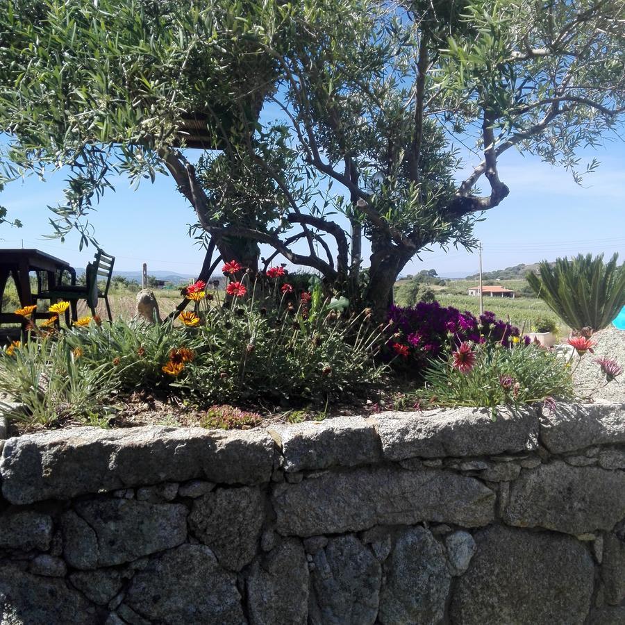 Agriturismo B&B Domo De Resteblas Berchidda Exteriör bild