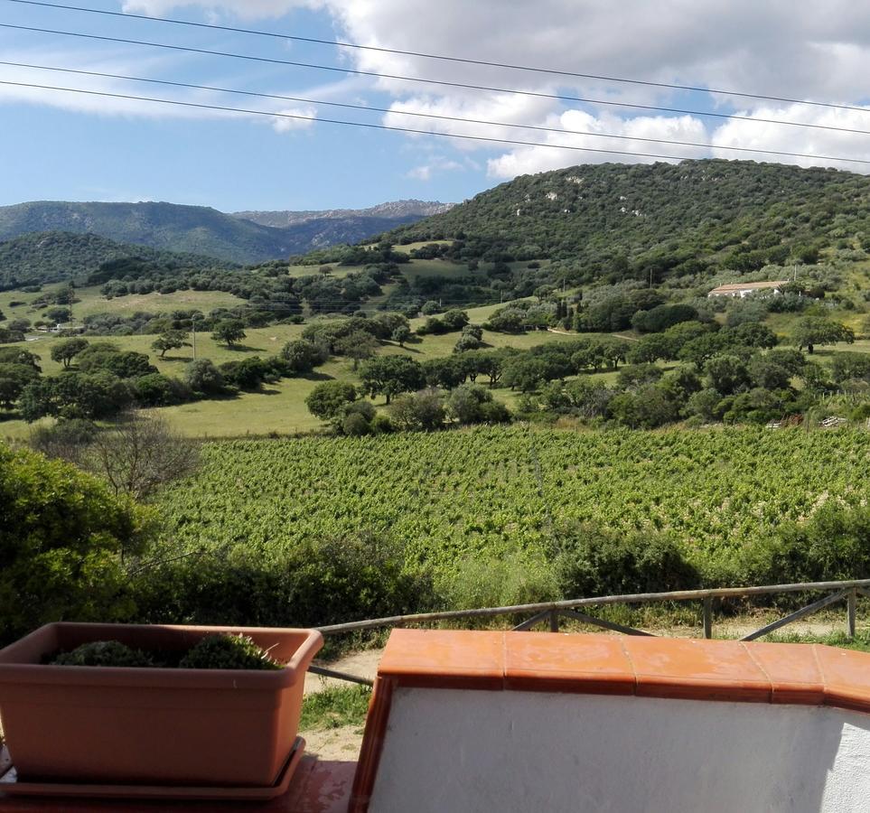 Agriturismo B&B Domo De Resteblas Berchidda Exteriör bild