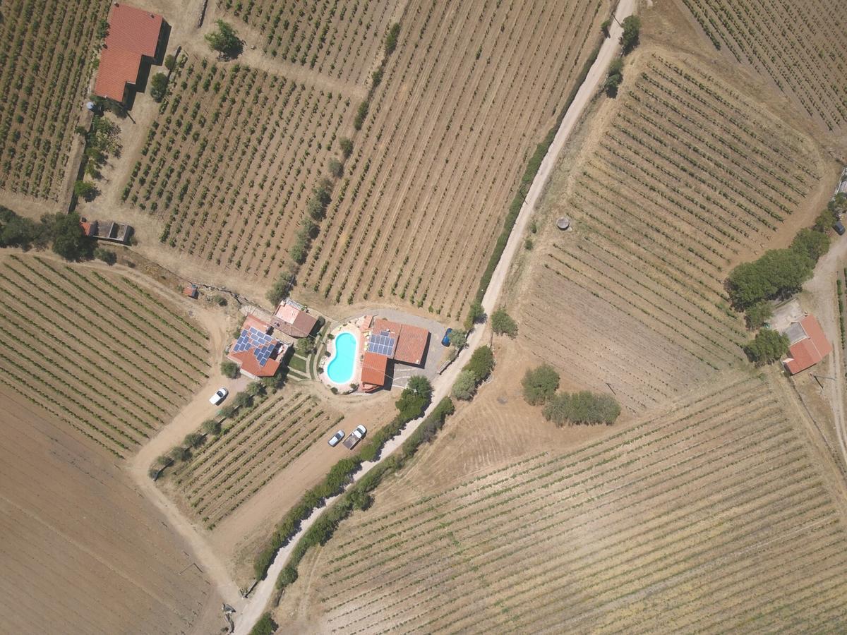 Agriturismo B&B Domo De Resteblas Berchidda Exteriör bild
