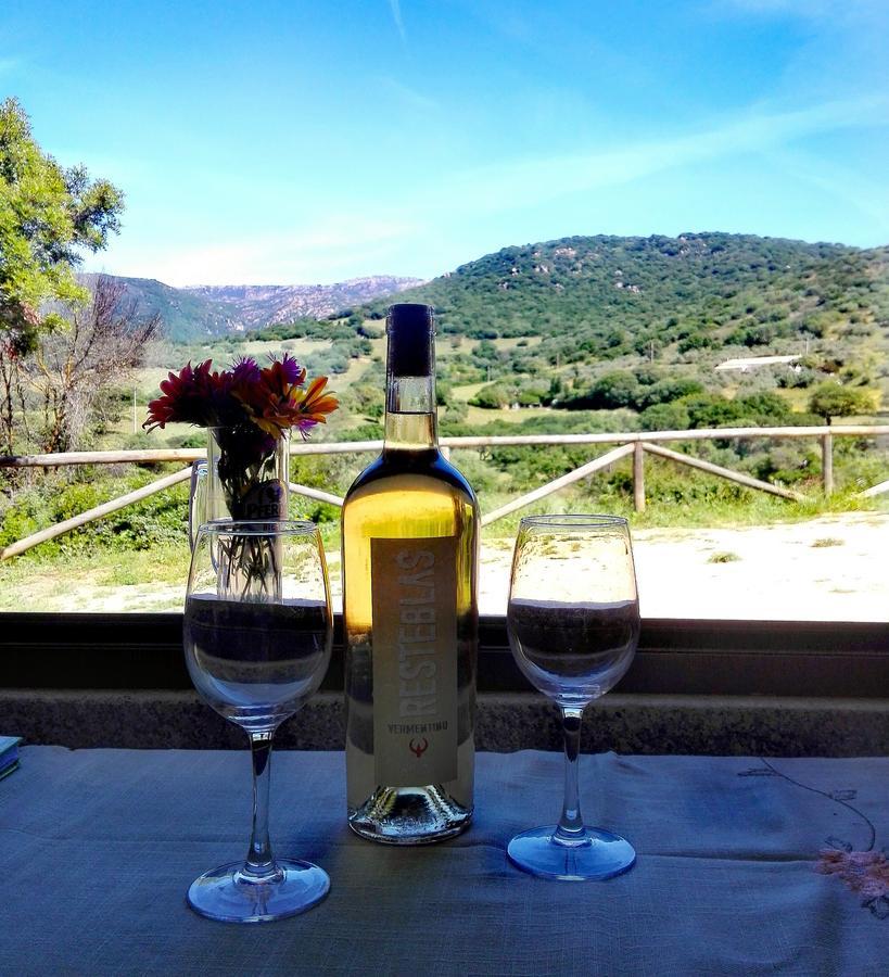 Agriturismo B&B Domo De Resteblas Berchidda Exteriör bild